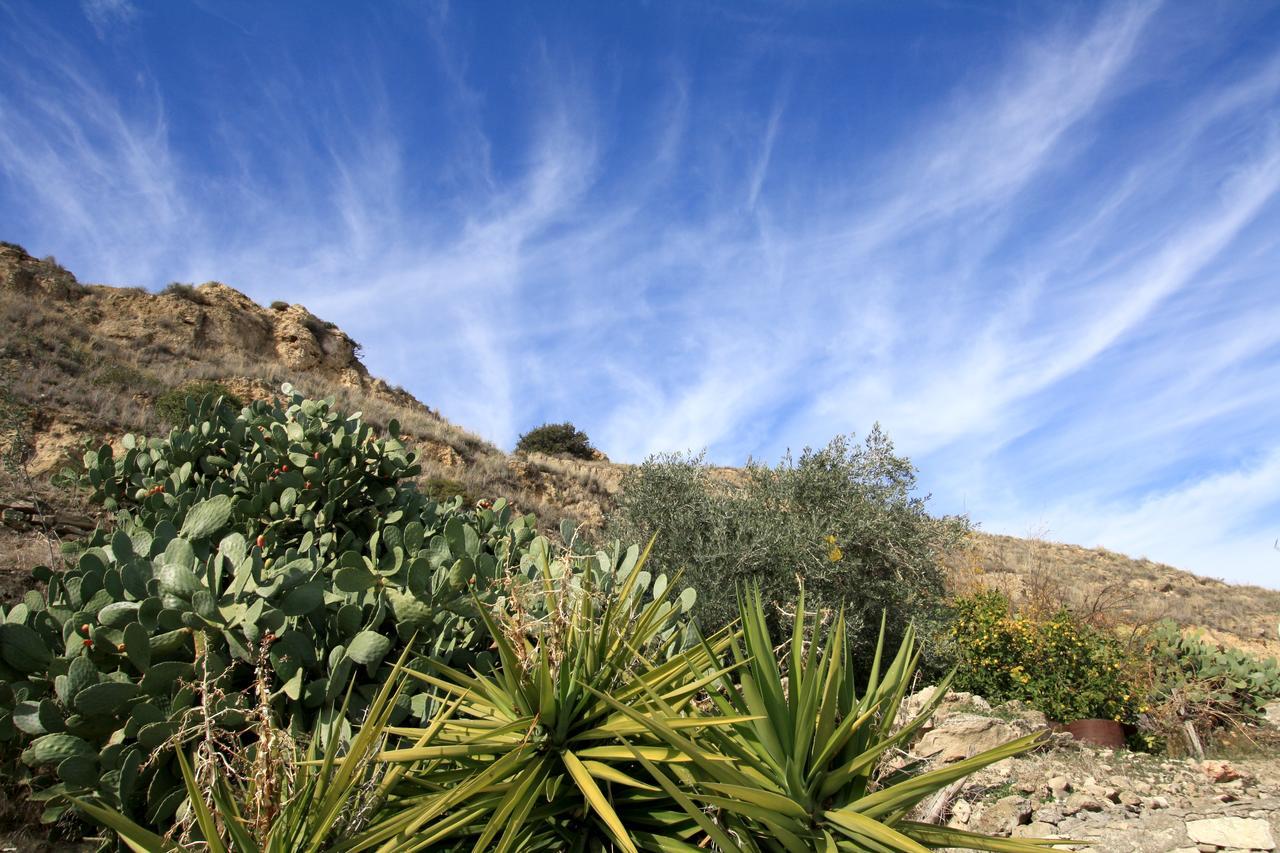Sea View Apartments Pissouri Luaran gambar